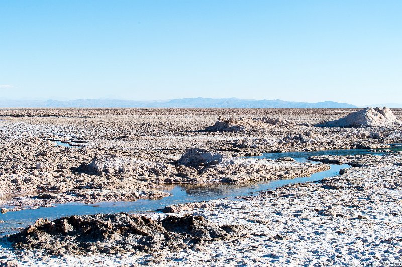 20160329_181807 D4S.jpg - Parque Laguna Chaxa